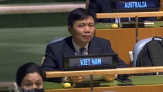 Đại sứ Đặng Đình Quý, Trưởng phái đoàn đại diện thường trực Việt Nam tại Liên hợp quốc. (Ảnh: Hữu Thanh/TTXVN).