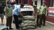 Cao Bằng: Thu giữ 579kg nguyên liệu thuốc lá không rõ nguồn gốc xuất xứ