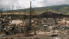 Vụ cháy rừng “thiêu rụi” thị trấn Lahaina.