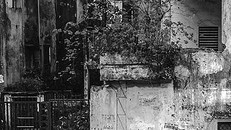 Mùa Đông Hà Nội 