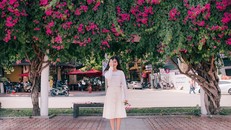 Hoa giấy Đà Nẵng: Thiên đường check-in của giới trẻ Đà thành