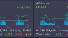 VN Index chạm sát ngưỡng tăng trưởng lịch sử