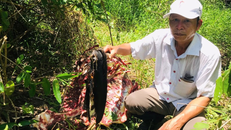 Hiện trường vụ việc. (Ảnh: Lao động)