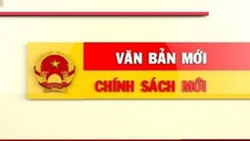 (Ảnh minh hoạ: Pháp luật TP.HCM)