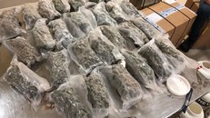 Tang vật vụ án. (Ảnh: Công an TP.HCM)