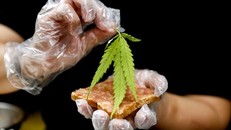 Một đầu bếp chuẩn bị món bánh mì thịt với lá cần sa tại căng tin bệnh viện Abhaibhubejhr, nơi đang bổ sung các món ăn tẩm cần sa vào thực đơn của mình. Ảnh: Reuters