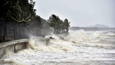 Ảnh minh hoạ: Nhân Dân