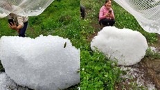 Người dân Mộc Châu, Sơn La đang chụp lại những tảng mưa đá "ngoại cỡ" rơi xuống địa bàn. (Ảnh: Báo Giao thông)