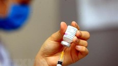 10.041 người đã được tiêm vaccine COVID-19 tại Việt Nam. (Ảnh: An Đăng/TTXVN)