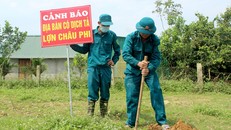 (Ảnh minh hoạ: Tiền Phong)