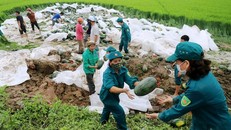 Người dân xã Cẩm Thành gom dưa giúp tài xế. Ảnh: Đức Hùng