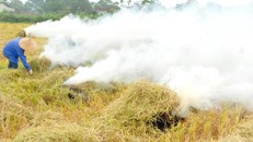 Khói bụi mù mịt từ việc đốt rơm rạ, gây ô nhiễm cho môi trường xung quanh. (Ảnh: VnExpress)