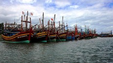 Đội tàu đánh bắt xa bờ của ngư dân tỉnh Quảng Bình. (Ảnh: Báo Quảng Bình)