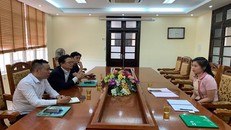 Bà Trần Huyền Trang (phải) tại cuộc làm việc giữa Trung tâm Nghiên cứu, xúc tiến đầu tư và hỗ trợ doanh nghiệp tỉnh Vĩnh Phúc với đại diện Phòng Thương mại và Công nghiệp Hàn Quốc, tháng 7/2020. Ảnh: Sở KHĐTVP