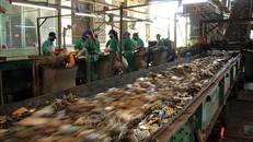 Hoạt động tại nhà máy xử lý rác thải thành phố Cà Mau. Ảnh minh họa: TTXVN