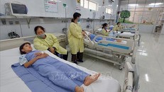 Ảnh minh hoạ: TTXVN