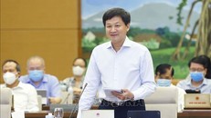 Phó Thủ tướng Lê Minh Khái. Ảnh: Doãn Tấn/TTXVN