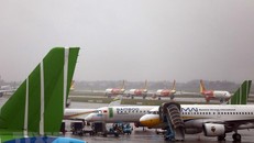  Ảnh: Huy Hùng/TTXVN