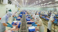 (Ảnh minh hoạ: Lao Động)