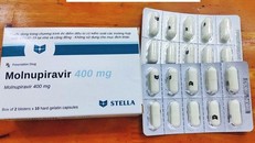 Thuốc Molnupiravir 400mg Stella. Ảnh minh họa: Bộ Y tế.