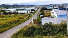 Nhiều doanh nghiệp ở KCN Phú Hội được bố trí vị trí đất không đúng quy hoạch ngành nghề. (Ảnh: Gia Bình)