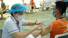 (Ảnh: Thanhuytphcm.vn)