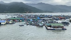 Hàng trăm lồng bè bị sóng xô vào nhau. (Ảnh: Người đưa tin)