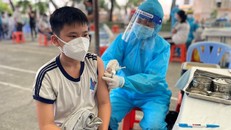 Ảnh: Đan Phương/Báo Tin tức