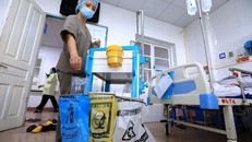 (Ảnh: Thành Đạt/TTXVN)