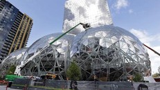 Trụ sở Amazon tại Seattle, Mỹ.