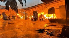 (Ảnh: Quân đội nhân dân)