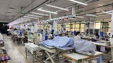 (Ảnh minh họa. PV/Vietnam+) 