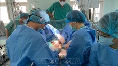 Các bác sỹ Bệnh viện Trung ương Huế thực hiện ghép tim xuyên Việt. Ảnh: TTXVN phát