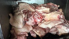 (Ảnh minh họa: Dân Việt)