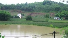 Hơn 540 ha diện tích cây trồng tại Tuyên Quang bị ảnh do mưa lớn trên diện rộng. (Ảnh: Nam Sương/TTXVN)