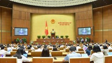 Ngày làm việc thứ năm (27/5), Quốc hội sẽ thảo luận ở hội trường về Dự án Luật Kinh doanh bảo hiểm (sửa đổi).