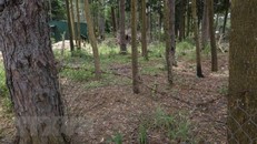 Người dân dựng hàng rào trên đất rừng. (Ảnh:TTXVN)