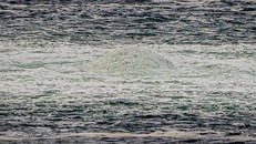 Khí đốt rò rỉ từ đường ống dẫn khí Dòng chảy phương Bắc dưới Biển Baltic ngày 29/9. (Ảnh: AFP/TTXVN) 