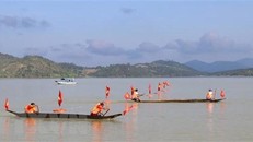 Các đội thi tranh tài trong những nội dung đua thuyền độc mộc. (Ảnh: Hồng Điệp/TTXVN) 