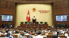 Quang cảnh phiên họp sáng 11/11. (Ảnh: An Đăng/TTXVN) 