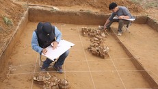 Cán bộ Bảo tàng Lịch sử Quốc gia và Bảo tàng Quốc gia Hàn Quốc xử lý hiện trường khai quật tại di tích quốc gia Phôi Phối-Bãi Cọi năm 2012. (Ảnh: BTLSQG) 