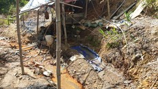 (Ảnh minh họa: Người đưa tin)