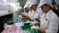 Ảnh minh họa. (Ảnh: Vietnam+)