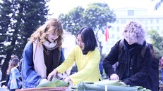 Các sinh viên quốc tế của Trường Đại học Hà Nội thích thú khi được tự tay gói bánh chưng xanh, thức bánh đặc trưng của Tết Nguyên đán cổ truyền. (Ảnh: PV/Vietnam+)