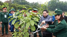 Thủ tướng Phạm Minh Chính trồng cây tại Lễ phát động “Tết trồng cây đời đời nhớ ơn Bác Hồ” tại Khu Di tích K9 (Đá Chông), huyện Ba Vì, thành phố Hà Nội, sáng 27/1/2023. Ảnh: Dương Giang/TTXVN