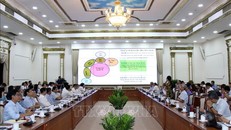 Quang cảnh Hội nghị. (Ảnh: TTXVN)