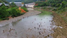 Ảnh minh họa. (Nguồn: Hùng Võ/Vietnam+)