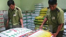 Từ 15/3, tổng kiểm tra hoạt động sản xuất gia công phân bón vô cơ