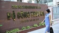 Ảnh: Hồng Vĩnh.