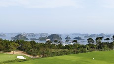 Quảng Ninh: Váng nước màu không gây bất kỳ sự cố môi trường nào với Hạ Long